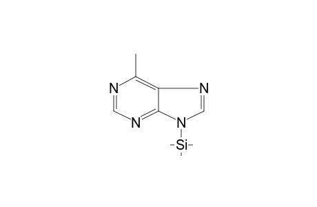 9H-Purine, 6-methyl-9-(trimethylsilyl)-