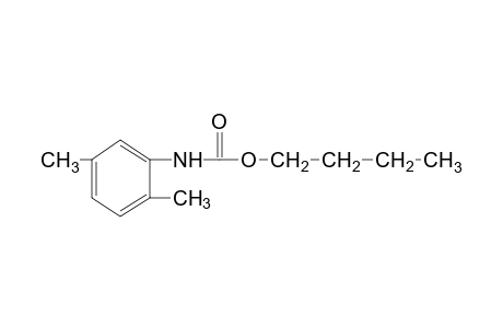 2,5-dimethylcarbanilic acid, butyl ester