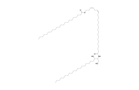 Cer 22:0;2O/24:2;O(FA 22:0)