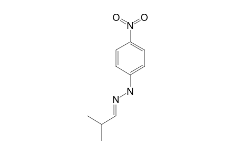 isobutyraldehyde, (p-nitrophenyl)hydrazone