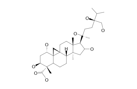 CYCLOPASSIFLOIC-ACID-E;20(S),24(S)-1-ALPHA,3-BETA,16-BETA-20,24,31-HEXAHYDROXY-24-METHYLCYCLOARTAN-28-OIC-ACID