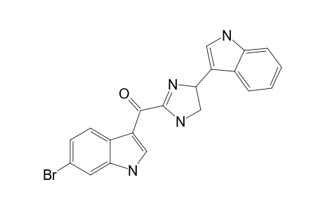 SPONGOTINE_B