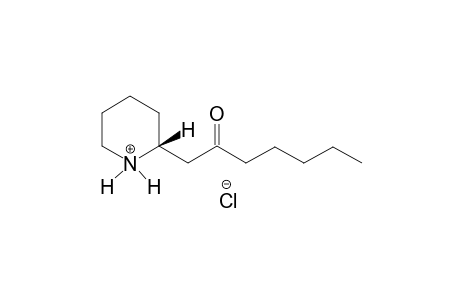 (R)-(-)-2-(2-Oxoheptyl)piperidinium hydrochloride