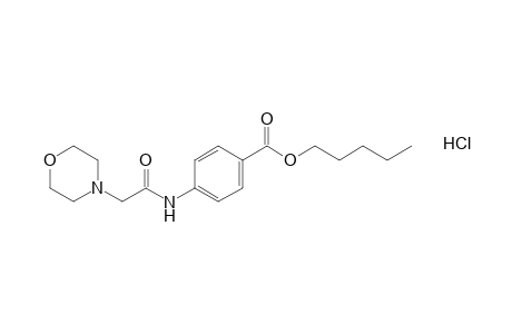 p-(2-morpholinoacetamido)benzoic acid, pentyl ester, hydrochloride