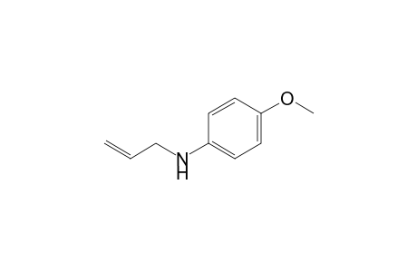 N-ALLYL-p-ANISIDINE