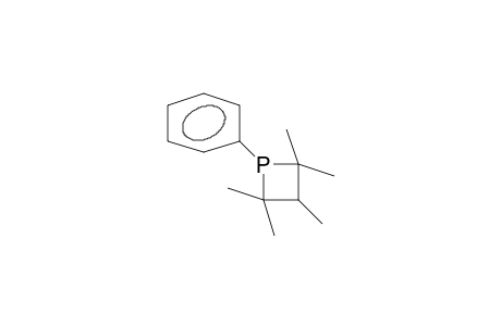 1-Phenyl-2,2,3,4,4-pentamethyl-phosphetane