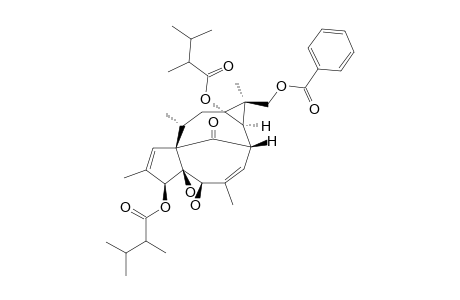 17-BENZOYLOXY-3-O-(2,3-DIMETHYLBUTANOYL)-13-(2,3-DIMETHYLBUTANOYLOXY)-20-DEOXYINGENOL