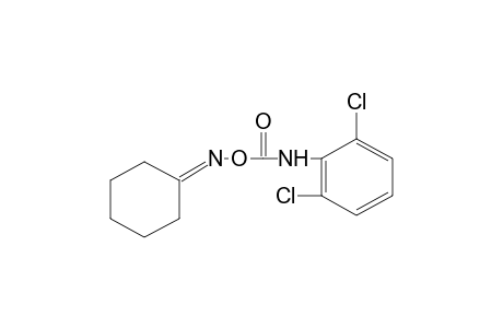cyclohexanone, O-[(2,6-dichlorophenyl)carbamoyl]oxime