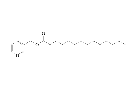 Picolinyl 13-methyltetradecanoate