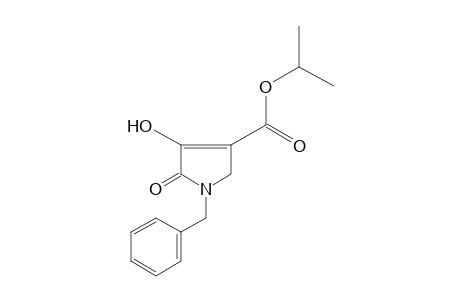 1-benzyl-4-hydroxy-5-oxo-3-pyrroline-3-carboxylic acid, isopropyl ester