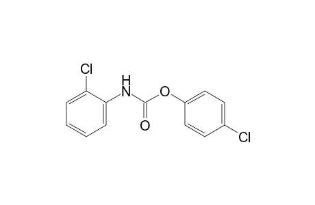 o-Chlorocarbanilic acid, p-chlorophenyl ester