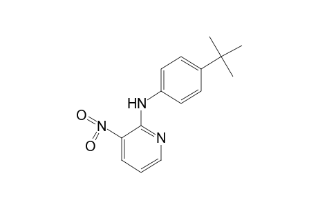 2-(p-Tert-butylanilino)-3-nitropyridine