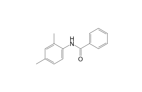 2',4'-benzoxylidide