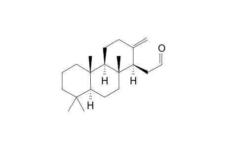 17,18,19,25-Tetranor-cheilanth-13(24)-en-16-al