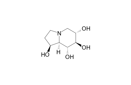 Castanospermine