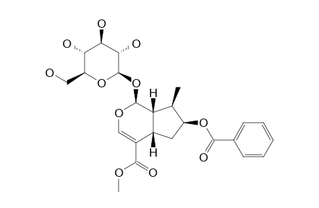 7-O-BENZOYLLOGANIN