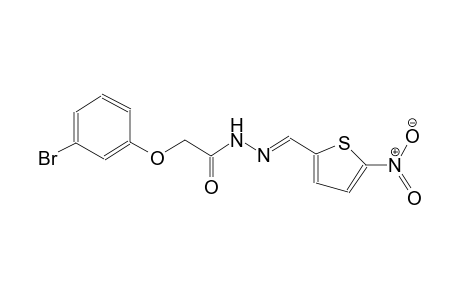 acetic acid, (3-bromophenoxy)-, 2-[(E)-(5-nitro-2-thienyl)methylidene]hydrazide