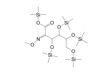 2-KETO-GLUCONIC ACID, O-METHYLOXIME, PENTAKIS-O-(TRIMETHYLSILYL)-