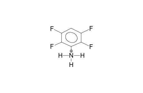 2,3,5,6-TETRAFLUOROANILINE PROTONATED