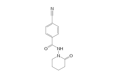 4-Cyano-N-(2-oxopiperidin-1-yl)benzamide