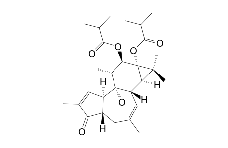 4,20-DIDEOXYPHORBOL-12,13-BIS-(ISOBUTYRATE)
