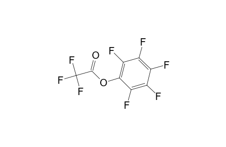 Pentafluorophenyl trifluoroacetate