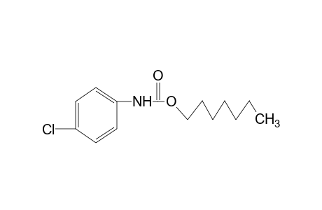 p-chlorocarbanilic acid, heptyl ester