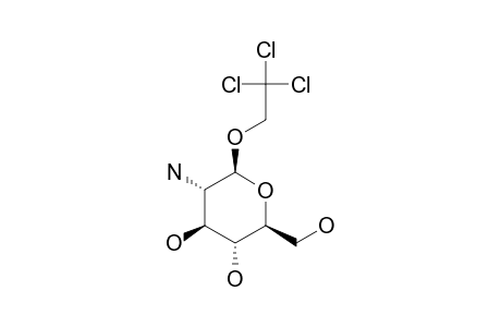 2,2,2-TRICHLOROETHYL-2-AMINO-2-DEOXY-BETA-D-GLUCOPYRANOSIDE