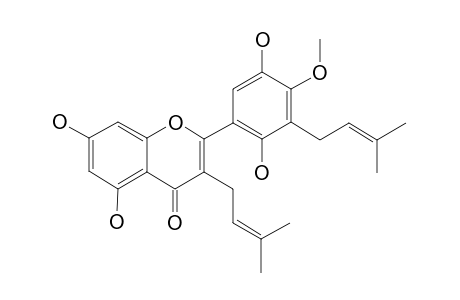 HETEROARTONIN-A;3,3'-DI-(GAMMA,GAMMA-DIMETHYLALLYL)-5,7,2'5'-TETRAHYDROXY-4'-METHOXYFLAVONE