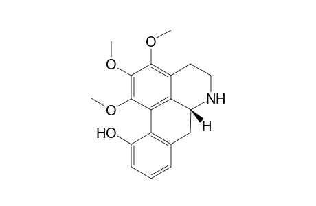 Stenantherine