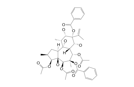 TRIGOHOWNIN-F