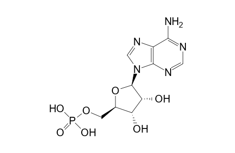 5'-Adenylic acid