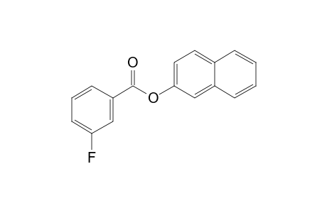 3-Fluorobenzoic acid, 2-naphthyl ester