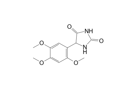 5-(2,4,5-trimethoxyphenyl)hydantoin