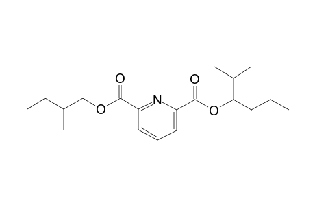 2,6-Pyridinedicarboxylic acid, 2-methylbutyl 2-methylhex-3-yl ester