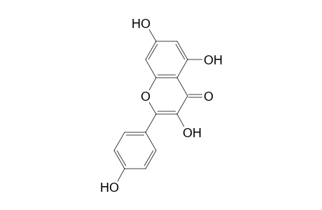 Kaempferol