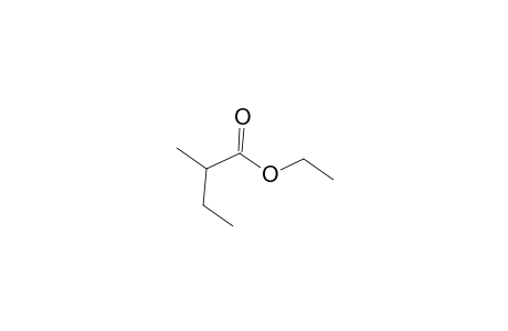 Ethyl 2-methylbutyrate