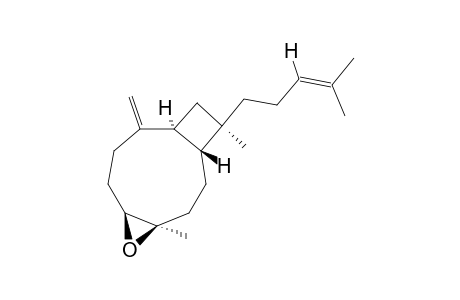 4.beta.,5.beta.-Epoxy-xeniaphylla-8(19),14-diene