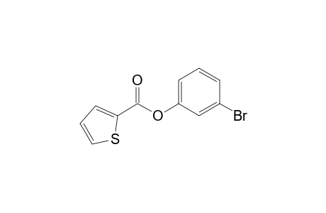 META-BROMOPHENYL-2-THIENOATE