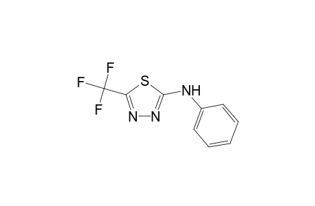 N-phenyl-5-(trifluoromethyl)-1,3,4-thiadiazol-2-amine