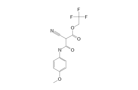 2-cyano-3-keto-3-[(4-methoxyphenyl)amino]propionic acid 2,2,2-trifluoroethyl ester