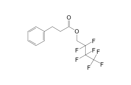 3-Phenylpropionic acid, 2,2,3,3,4,4,4-heptafluorobutyl ester