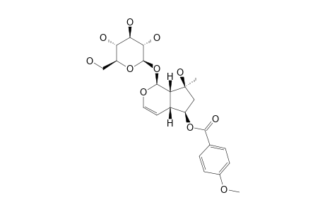 6-O-(PARA-METHOXYBENZOYL)-AJUGOL