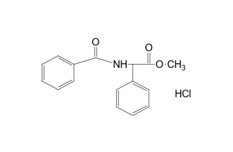 D-(-)-alpha-phenylhippuric acid, methyl ester, hydrochloride
