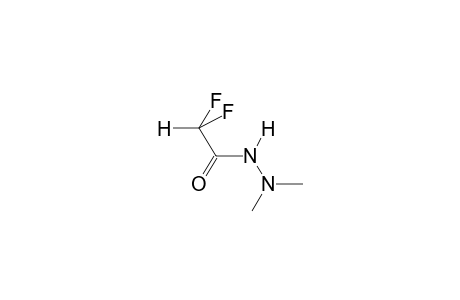 (E)-1-DIFLUOROACETYL-2,2-DIMETHYLHYDRAZINE