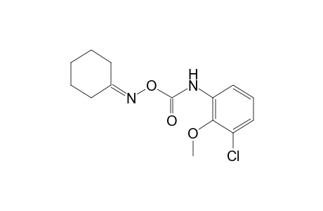 cyclohexanone, O-[(3-chloro-2-methoxyphenyl)carbamoyl]oxime