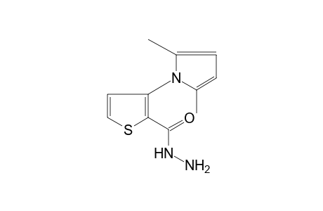 3-(2,5-dimethylpyrrol-1-yl)-2-thiophenecarboxylic acid, hydrazide