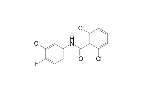 4'-fluoro-2,3',6-trichlorobenzanilide