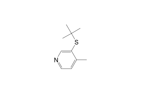 4-Picoline, 3-(tert-butylthio)-