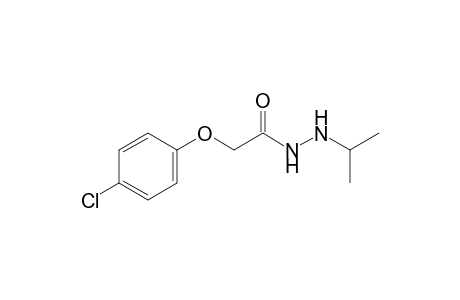 Acetic acid, (4-chlorophenoxy)-, 2-(1-methylethyl)hydrazide